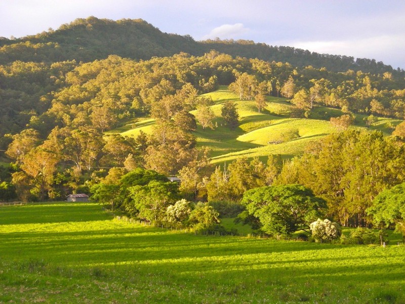 341 Cross Keys Road, Gresford NSW 2311