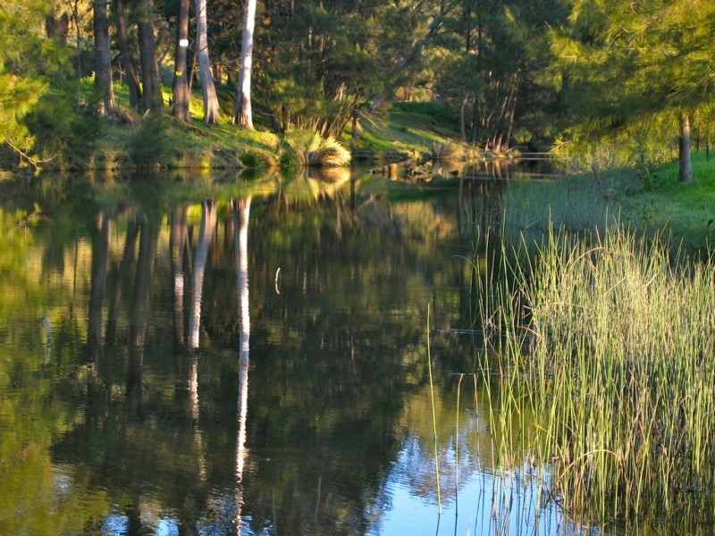 341 Cross Keys Road, Gresford NSW 2311