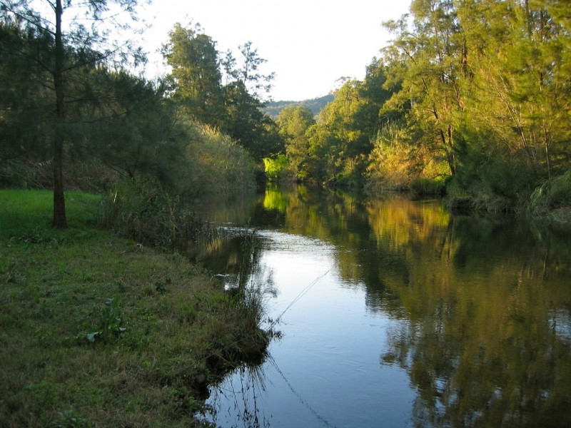 341 Cross Keys Road, Gresford NSW 2311