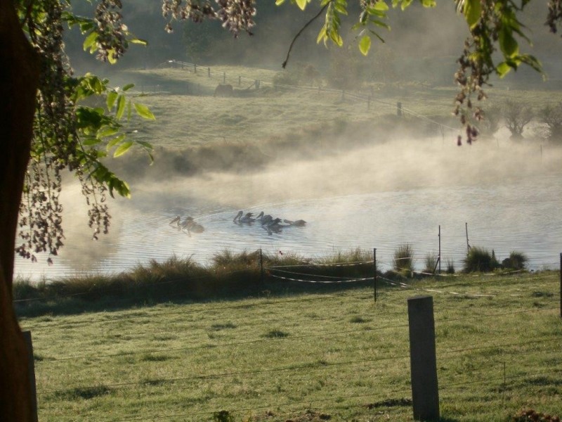 63 Williams River Close, Clarence Town NSW 2321