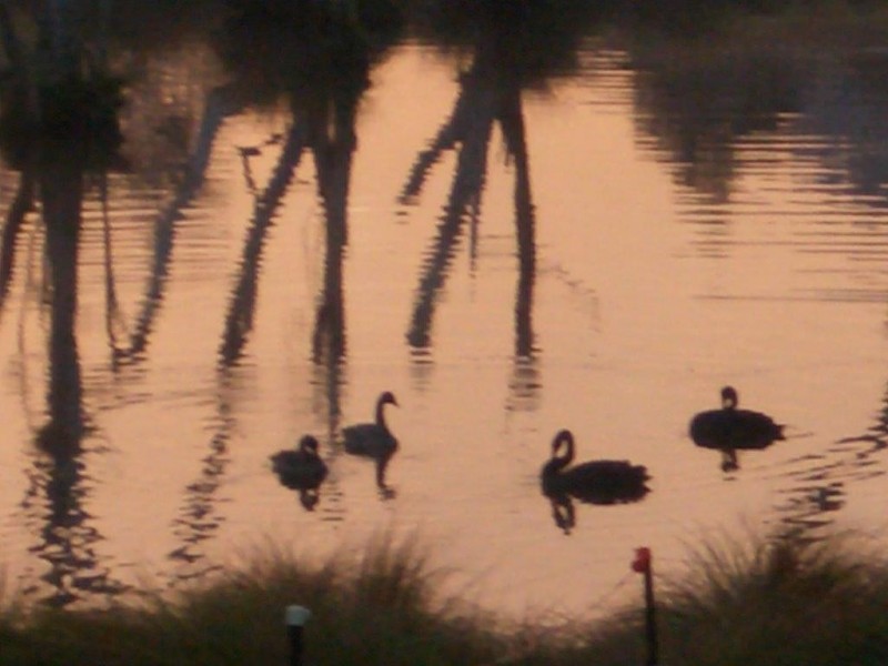 63 Williams River Close, Clarence Town NSW 2321