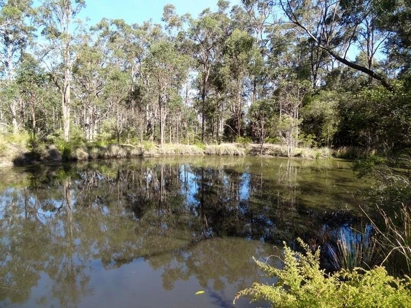 51 Forest Glen Road, Limeburners Creek NSW 2324