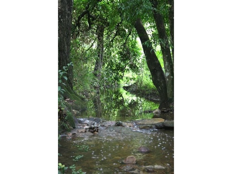 633 Main Creek Road, Dungog NSW 2420