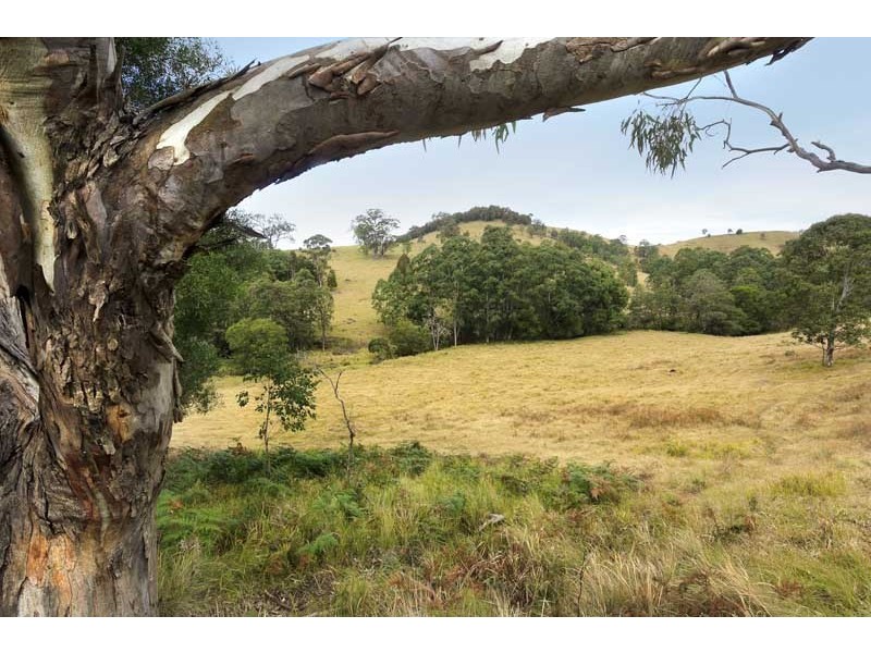 2386 Salisbury  Road, Dungog NSW 2420