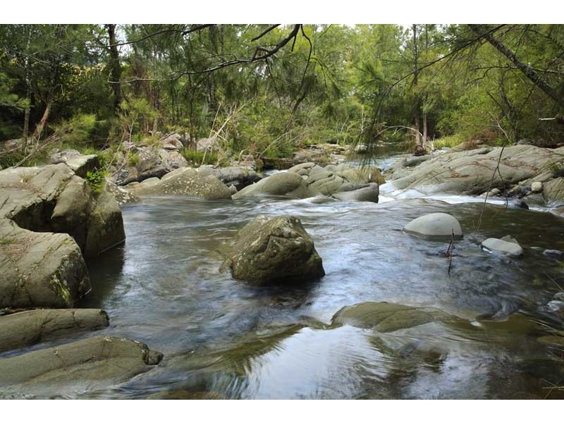 2386 Salisbury  Road, Dungog NSW 2420