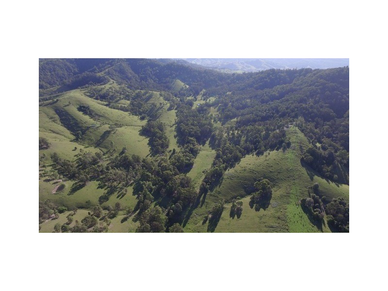 2441 Salisbury  Road, Dungog NSW 2420