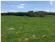 77 Church Road, Dungog NSW 2420