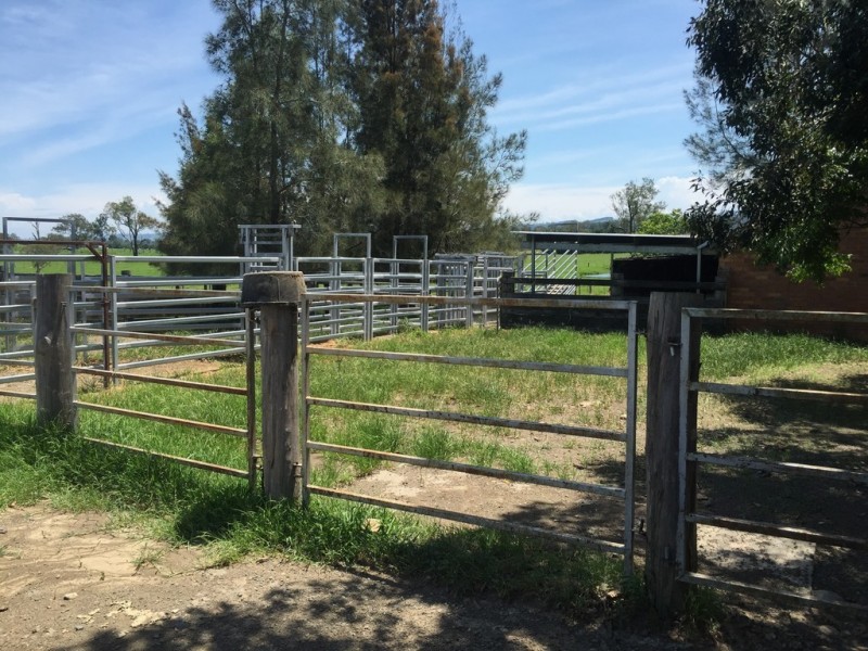 77 Church Road, Dungog NSW 2420