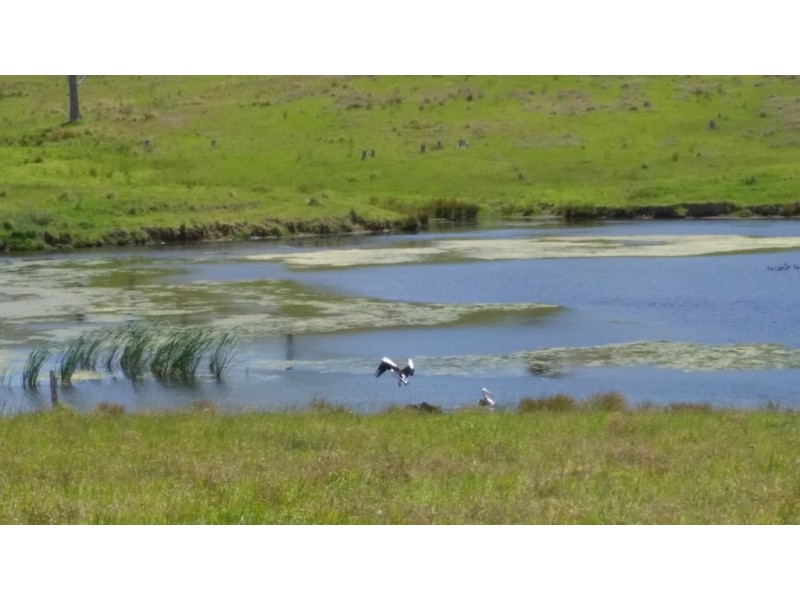 Lot 13 DP621541 Hennys Road, Dungog NSW 2420