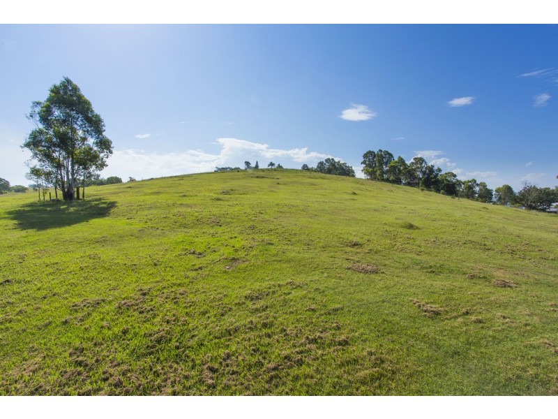 Lot 501 DP1247085 Myles Street, Dungog NSW 2420