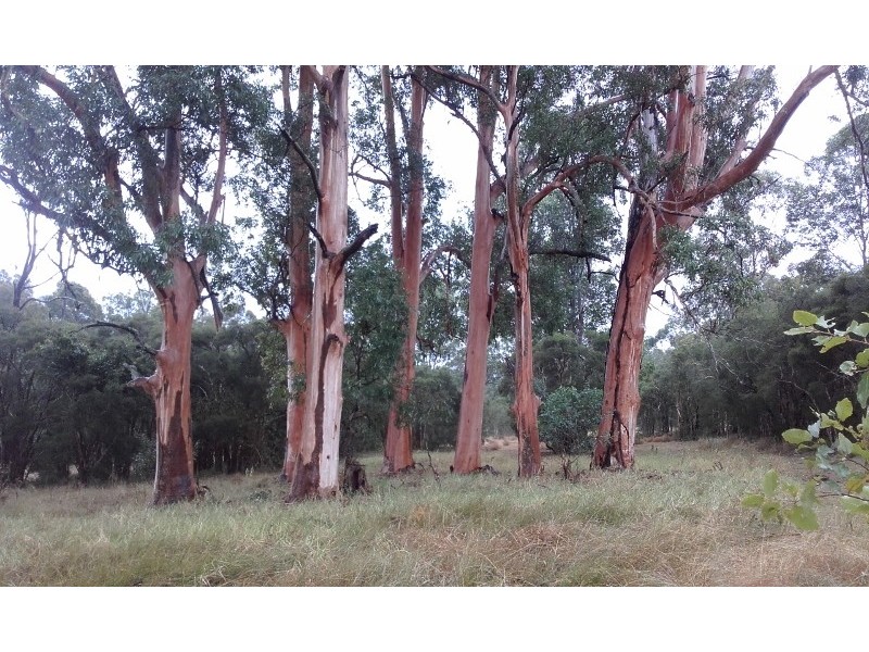 1515 Fosterton Road, Dungog NSW 2420