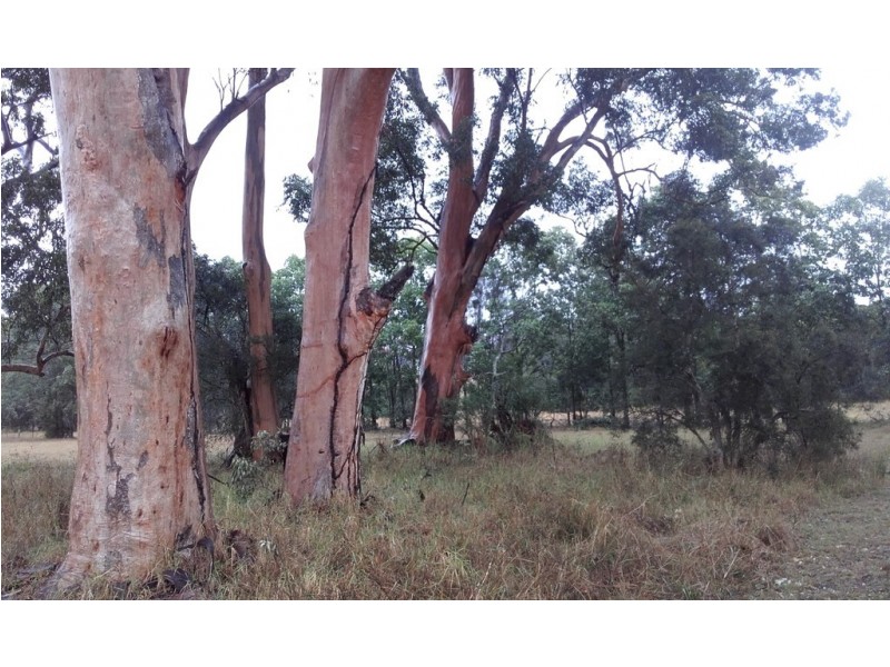 1515 Fosterton Road, Dungog NSW 2420