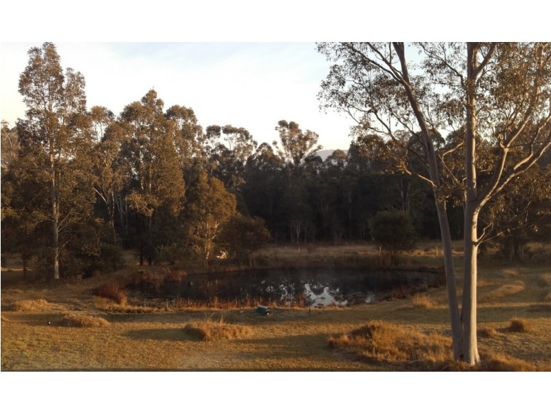 1515 Fosterton Road, Dungog NSW 2420