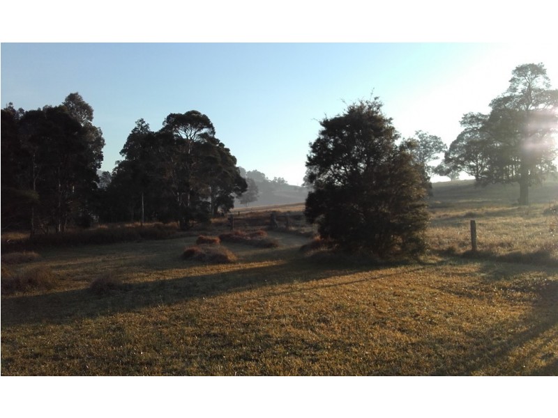 1515 Fosterton Road, Dungog NSW 2420