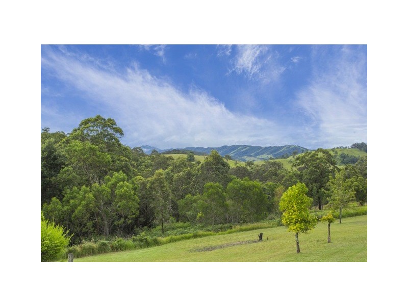 1351 Monkerai Road, Monkerai NSW 2415