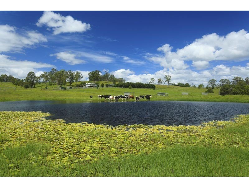 1590 Fosterton Road, Dungog NSW 2420