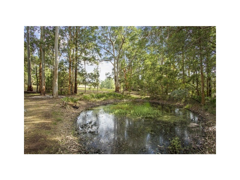 649 Main Creek Road, Dungog NSW 2420