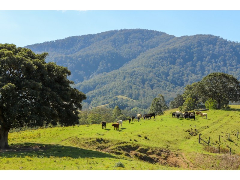 32 Longbottom Road, Dungog NSW 2420