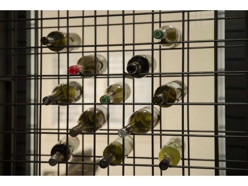 17 Morris Street, Paddington QLD 4064