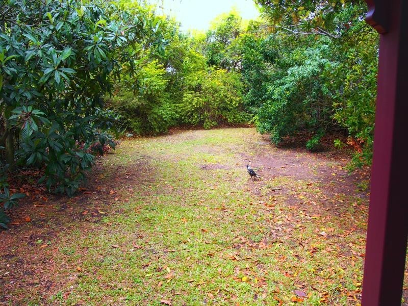 23 Warmington Street, Paddington QLD 4064