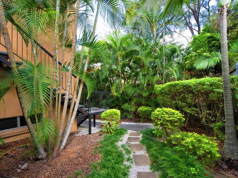 5/66 Elizabeth Street, Paddington QLD 4064