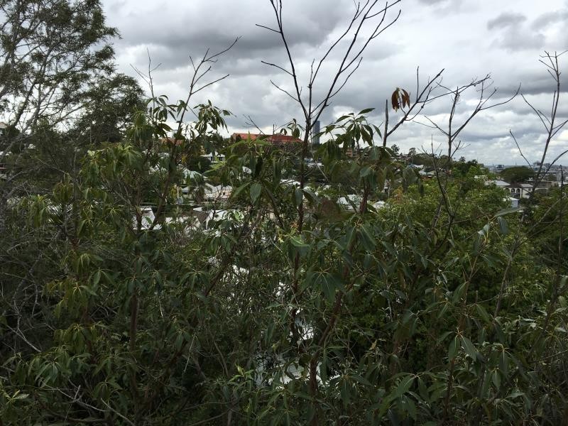 26 Enoggera Terrace, Red Hill QLD 4059