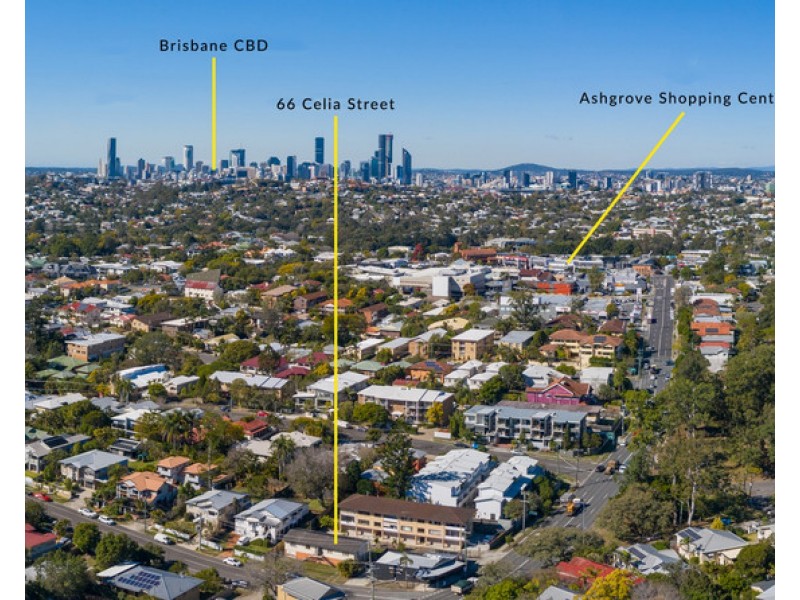 66 Celia Street, Ashgrove QLD 4060