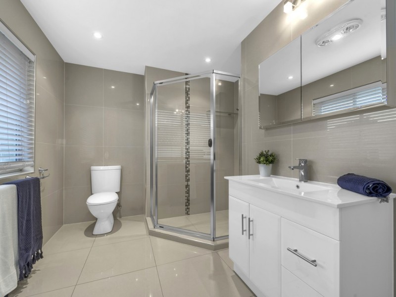 65 Long Street, Camp Hill QLD 4152