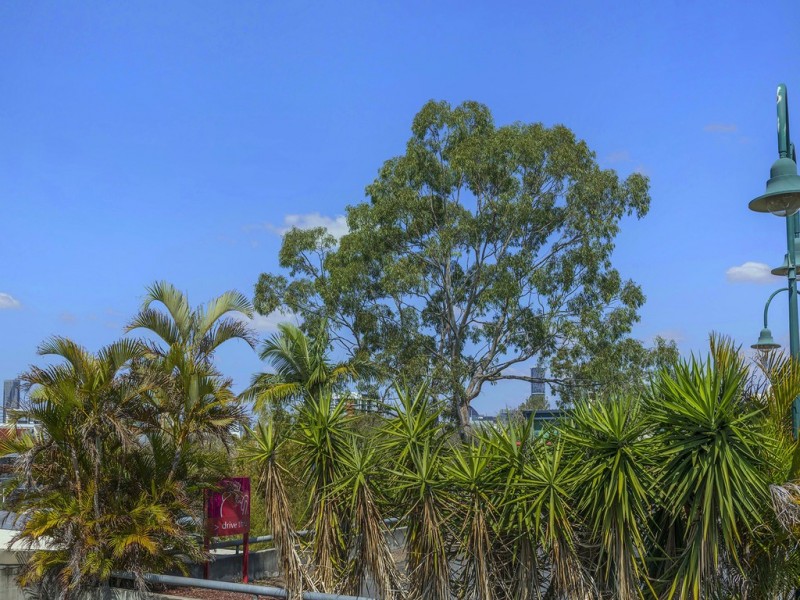 7/183 Kelvin Grove Road, Kelvin Grove QLD 4059