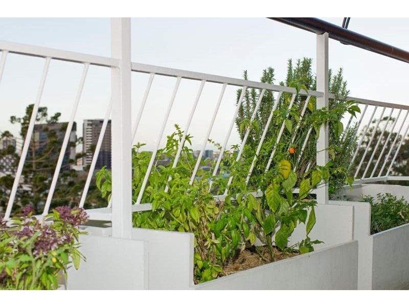 6J/182 Dornoch Terrace, Highgate Hill QLD 4101