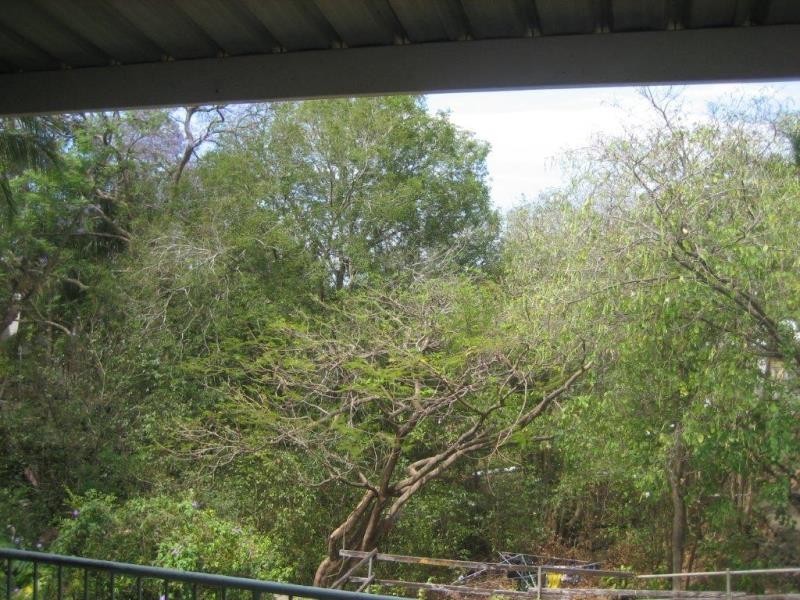 89 Agnes Street, Auchenflower QLD 4066