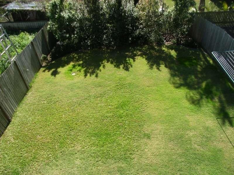 37 Tweed Street, Ashgrove QLD 4060