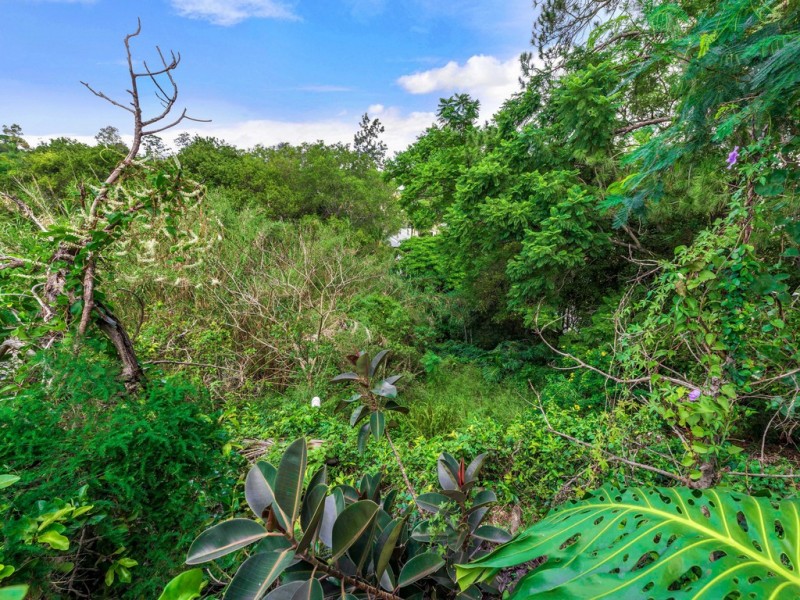 38 Arthur Terrace, Red Hill QLD 4059