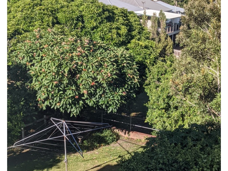 14/27 Fernberg Road, Paddington QLD 4064