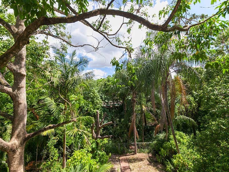 209 Latrobe Terrace, Paddington QLD 4064