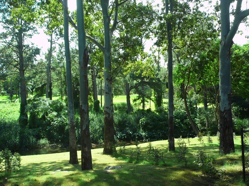 Units 4and5/903 Waterworks Road, The Gap QLD 4061