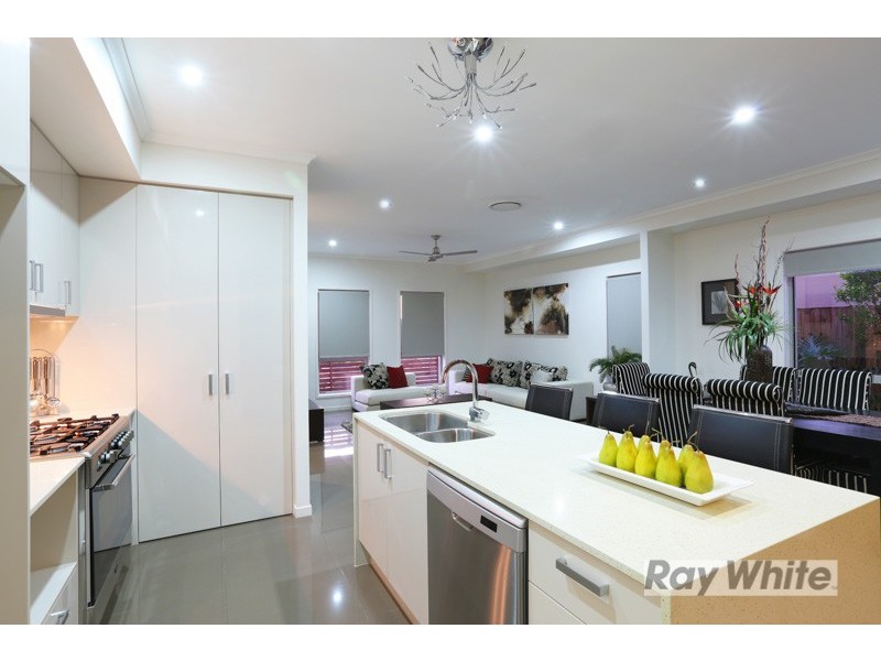 4 Park Avenue, Alderley QLD 4051