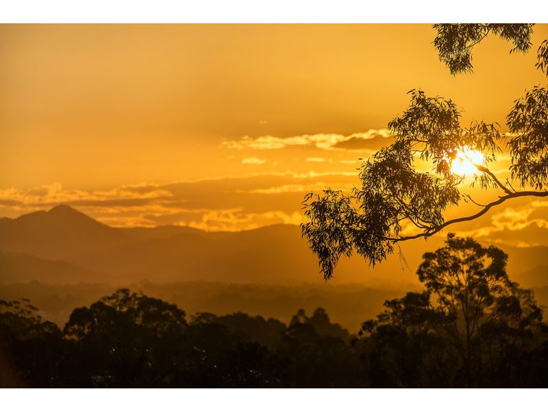 1 Flametree Street, Bridgeman Downs QLD 4035