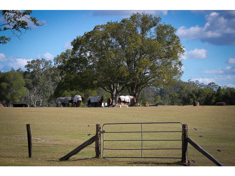 676 Fig Tree Pocket Road, Fig Tree Pocket QLD 4069