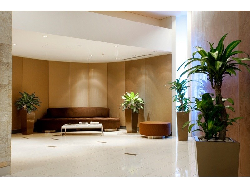 904/151 George Street, Brisbane City QLD 4000