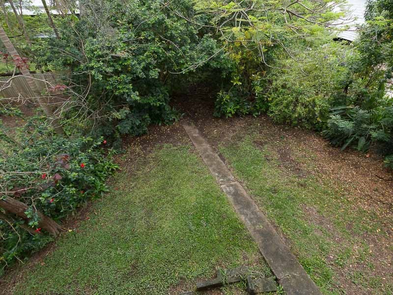 42 Dovedale Crescent, Ashgrove QLD 4060