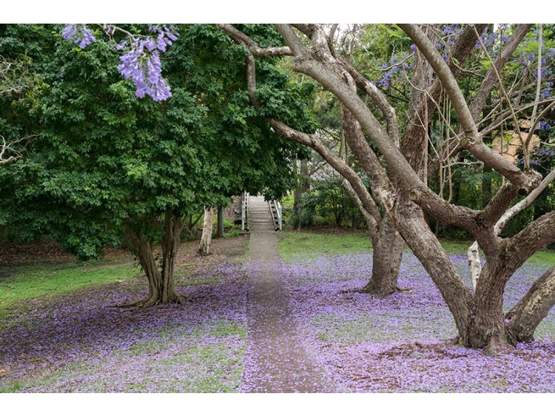 172 Fletcher Parade, Bardon QLD 4065