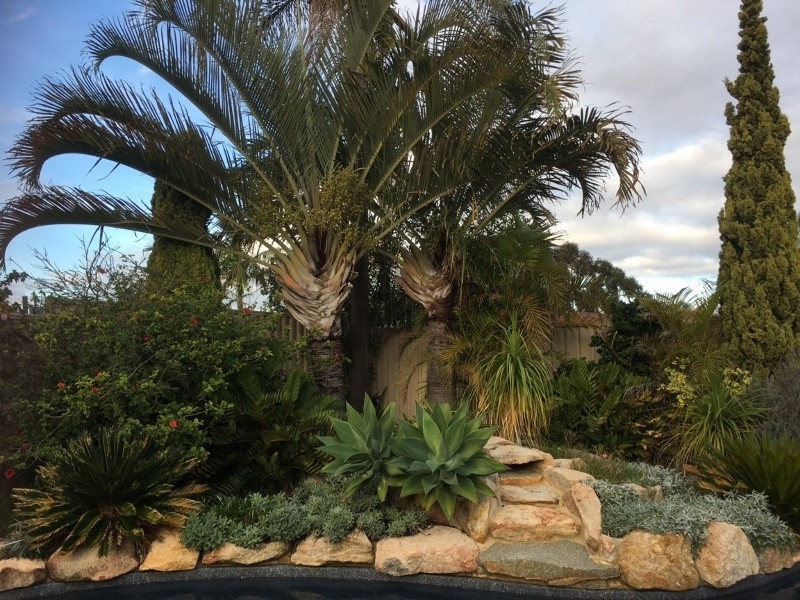 6 Hoya Court, Thornlie WA 6108