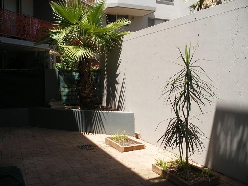 501 Wilson Street, Darlington NSW 2008