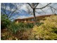 5 Pulleine Crescent, Macgregor ACT 2615
