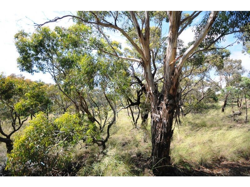 293 Donnelly Road, Bywong NSW 2621