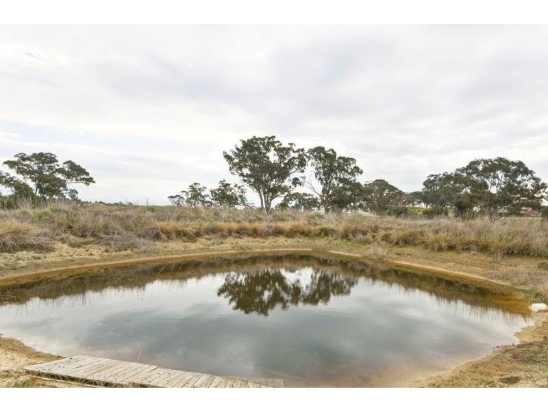 12 Ambleside Avenue, Murrumbateman NSW 2582