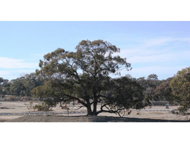 2 Volpato Street, Forde ACT 2914