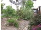 17 Hinchcliffe Place, Spence ACT 2615