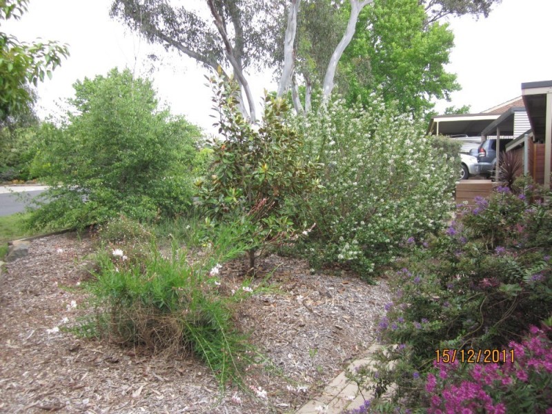 17 Hinchcliffe Place, Spence ACT 2615